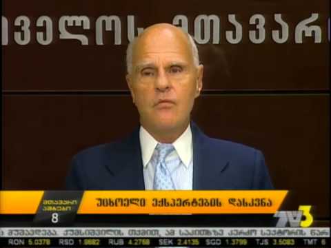 უცხოელი ექსპერტების დასკვნა