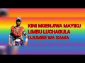 LIMBU LUCHAGULA KINI MGENJIWA MAYIKU LIMBU MBASHA STUDIO