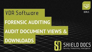 Forensic Auditing, audit document views & downloads. VDR. ShieldDocs | M&A & Due Diligences Software