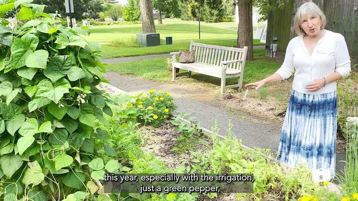 Garden Tips Episode 16