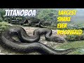 Titanoboa || Largest Snake Ever