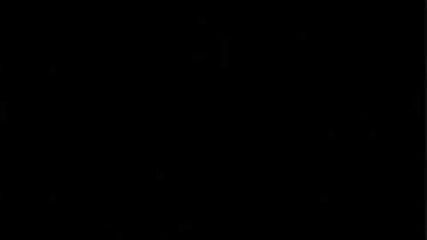 Ugly Duckling - Einstein