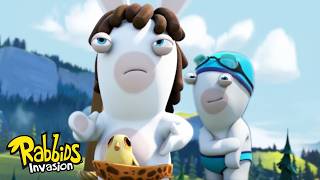 Rabbids Of The Jungle! 🦁 🌴 | RABBIDS INVASION 🐰