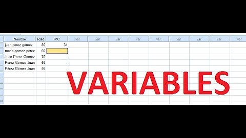 Variables en SPSS parte 1: ¿para que son las ventanas?