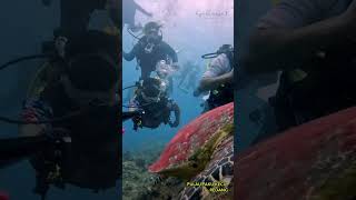 PULAU PAKU KECIL, PULAU REDANG MALAYSIA