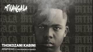 Thokozani Kabini - AmaPhogo Ft. Mhlokonywa KaBungela (Visualizer)
