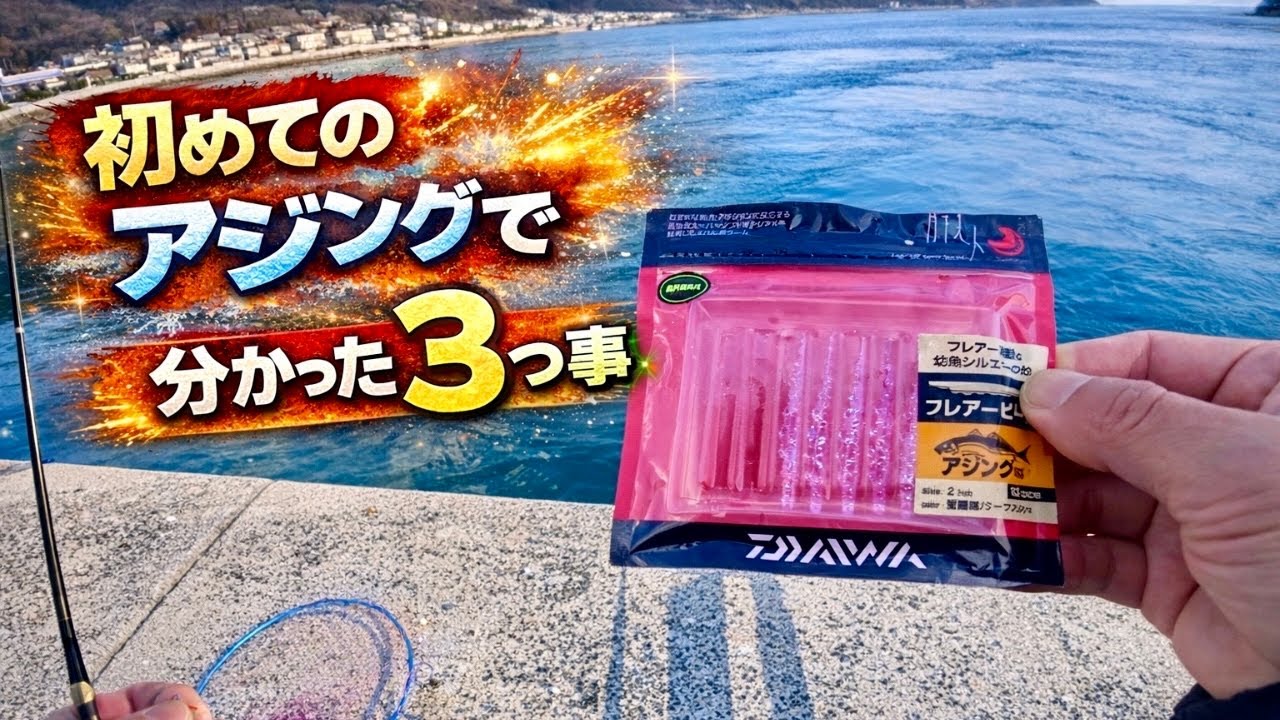 【アジング】人生初挑戦！！初めてで分かった3つの事！
