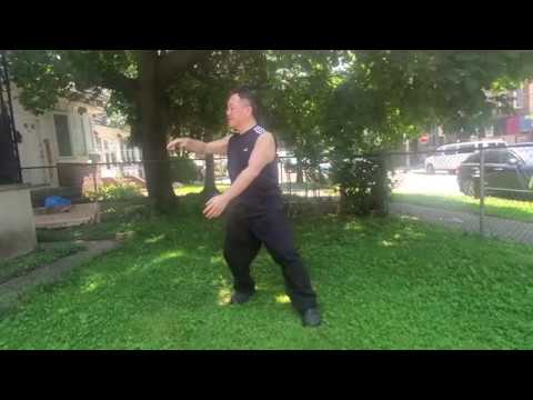 (Video #48) Intro to Physical Arts: Tai Chi Techniques (Wu Ji to Single Whip)