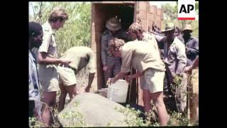 ELEPHANT TRANSLOCATION - COLOUR