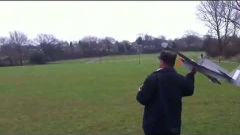 Edge 540 45" Wing span Crashed, Pilot error