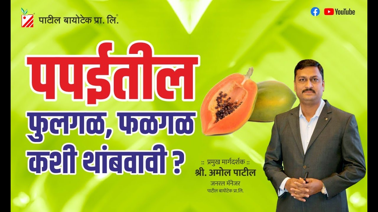 पपईतील फूलगळ, फळगळ कशी थांबवावी? #patilbiotech