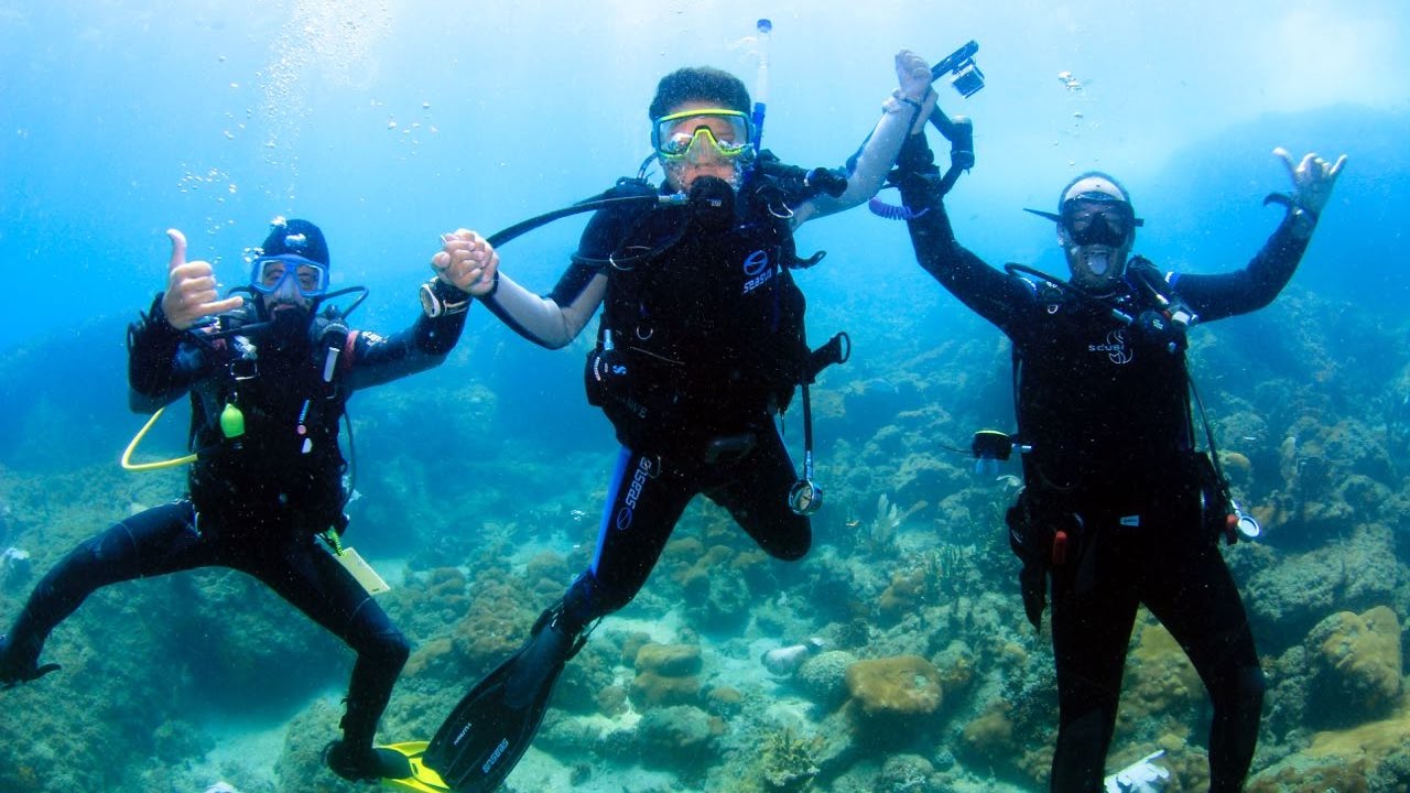 Resultado de imagem para mergulho arraial