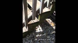 Tanning Water Prank