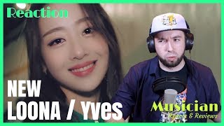 Musician Reacts Loonayves- New Jg-Reviewsk-Pop
