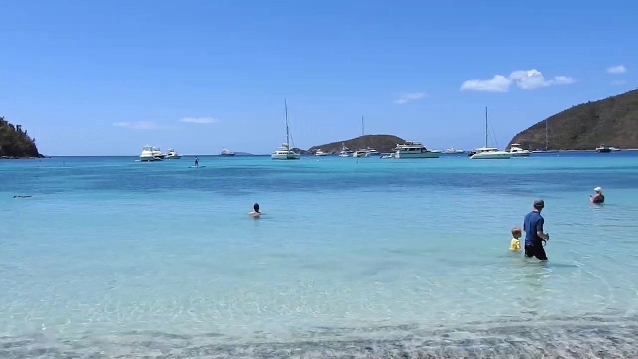 Maho Bay Beach, St. John, USVI 2019 YouTube
