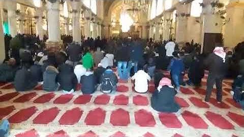 تلاوة عطرة للشيخ معروف محمد رشاد الشريف نجل مقرئ المسجد الاقصى محمد رشاد الشريف رحمه الله