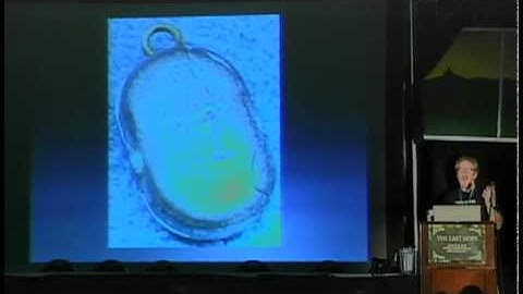 2600 - The Last HOPE (2008) - Keynote - Adam Savage