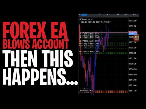 Forex robot live trading with real money account – Forex EA trading becomes something else