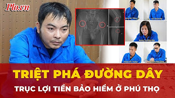 Triệt phá đường dây tự gây thương tích ở Phú Thọ nhằm trục lợi tiền bảo hiểm | Tin nhanh