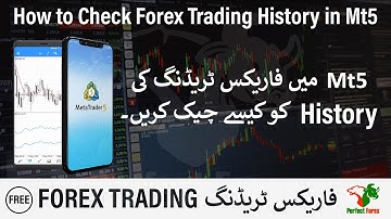 How to Check Forex Trading History in Mt5 Trading App for Beginner
