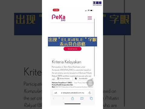 PeKa B40 资格查询方法