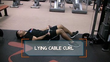 Lying Cable Curl
