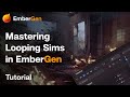 Mastering looping sims in embergen part 1  looping simulations