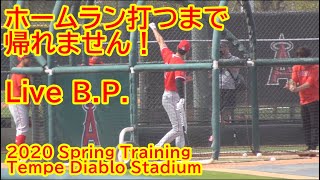 2.21.2020 ホームラン打つまで帰れません!【大谷翔平選手】Shohei Ohtani Live Batting Practice 2020 Spring Training