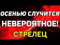 СТРЕЛЕЦ. ЭТОЙ ОСЕНЬЮ С ТОБОЙ СЛУЧИТСЯ НЕВЕРОЯТНОЕ! ПРОГНОЗ ТАРО ОНЛАЙН. ГАДАНИЕ НА TAROT.