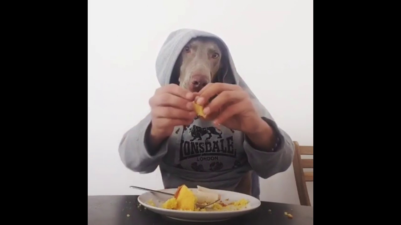 rumble video upload Breakfast of champions