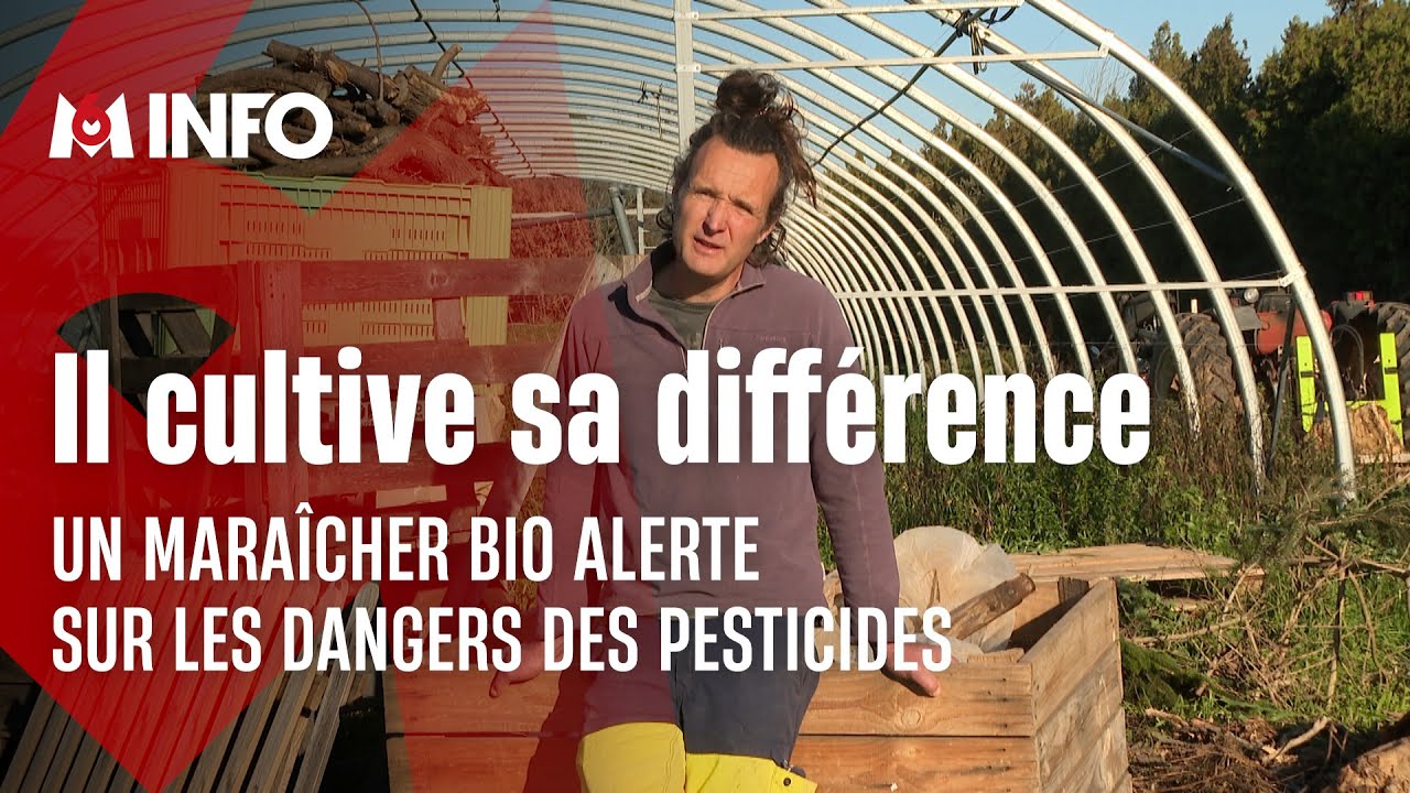 Thierry Gozzerino, le maraîcher qui ne veut plus des pesticides