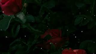 Katro - In Essence 𝕎𝕖 𝕎𝕚𝕝𝕝 𝕊𝕙𝕠𝕨 𝕋𝕙𝕖𝕞 𝔸𝕝𝕝𝒔𝒍𝒐𝒘𝒆𝒅 𝒓𝒆𝒗𝒆𝒓𝒃