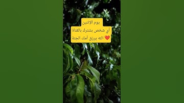 #تلاوة_خاشعة #تلاوة_هادئة #إسلام_صبحي #خواتيم_سورة_المؤمنون #قرآن_كريم #اكسبلور #اسلام_صبحي #لايك