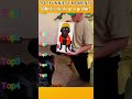 Funniest AnimalsMoments#funnyanimals #animalcomedy #dog#funny#funnyanimals#funnypets#animals