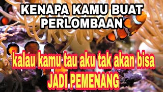 Jangan memberi harapan palsu puisi paling dicari 2019