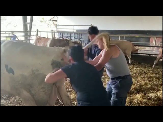 Mutterglück ❤️