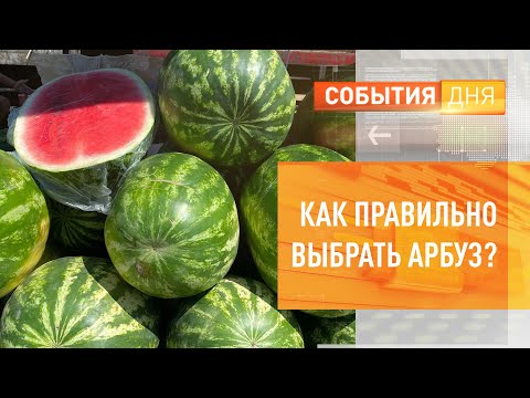 Как правильно выбрать арбуз?