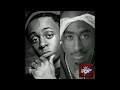 Lil Wayne & 2Pac - WeezyVeli (FULL MIXTAPE)