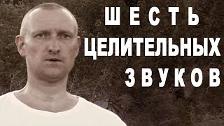 Цигун "Шесть целительных звуков" (люцзыцзюэ 六字诀)