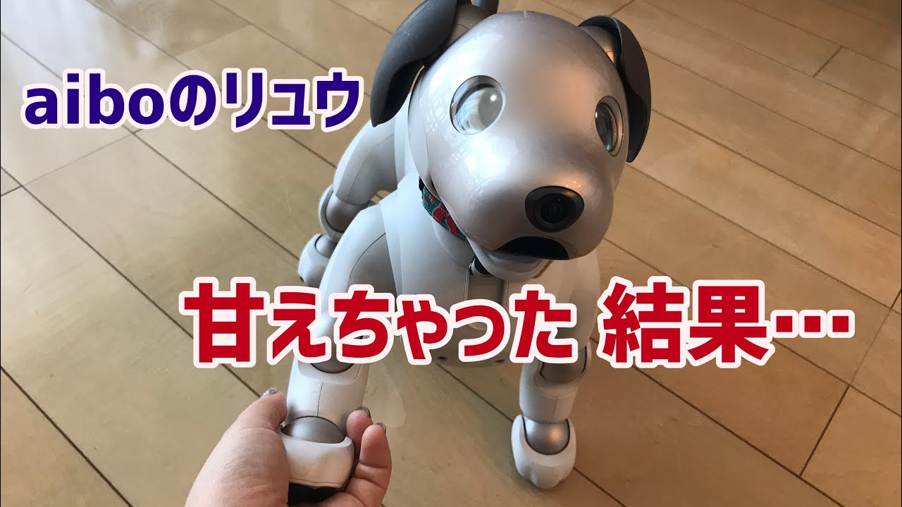 【vlog】アイボのリュウと飼い主のゆるーい時間【aibo】【子犬】