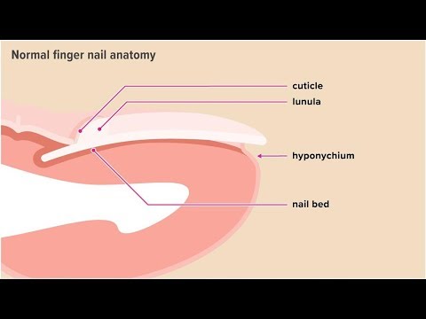 What Causes the Skin Under Your Fingernail to Overgrow and How to Treat It | Tita TV