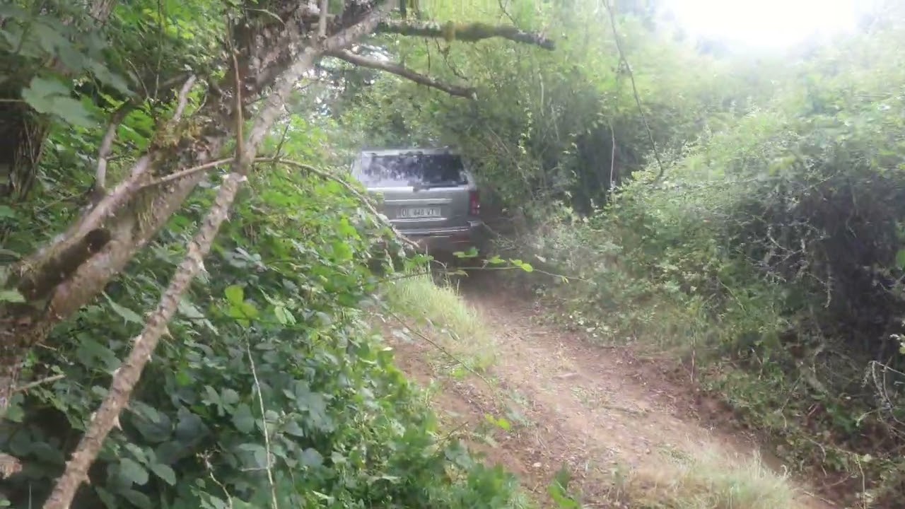 Grand cherokee wh montée à la grande savane