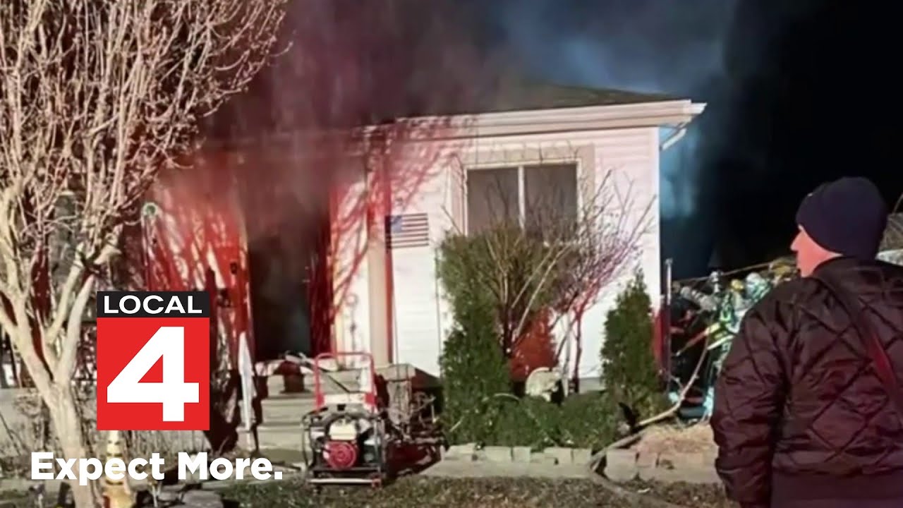 14 puppies, dog rescued from house fire in Eastpointe - YouTube