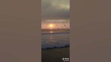 حالات واتس اب القرآن الكريم استغفر الله العظيم واتوب اليه