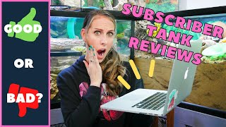 Reacting to YOUR Hermit Crab Tanks!| By Crab Central Station