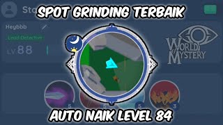 Lokasi Untuk Grinding Cepat Naik Level 84 - World of Mystery