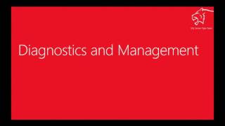 2016 05 26 12 00 Gems to help you troubleshoot query performance Wealth