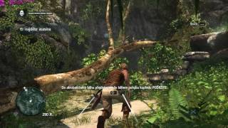 Assassin's Creed IV  Black Flag gameplay gtx 960 8gb ram g4560