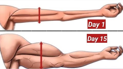 हाथों को मोटा कैसे करें घर पर | How to Grow Forearms and wrist | Forearms exercise at home |