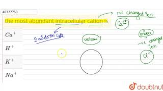 the most abundant intracellular cation is